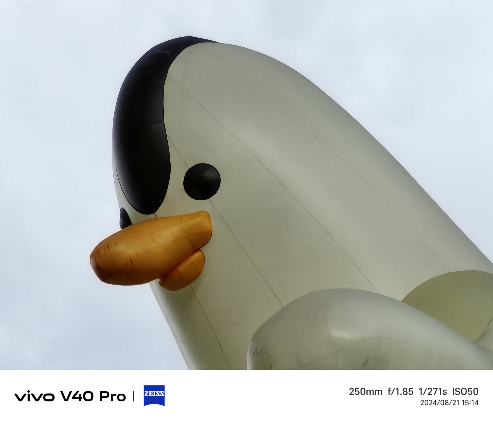 最強輕旗艦 vivo V40 Pro / V40 評測：蔡司聯名 | IP68&#038;IP69 強悍防水 | 天璣 9200+處理器 | 蔡司多焦段人像專家 @3C 達人廖阿輝